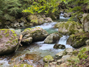 Why 80 Doesn’t Feel Old in Japan